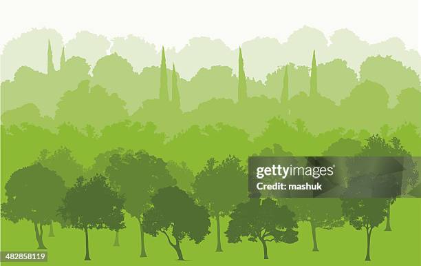 summer landscape - tree bark stock illustrations