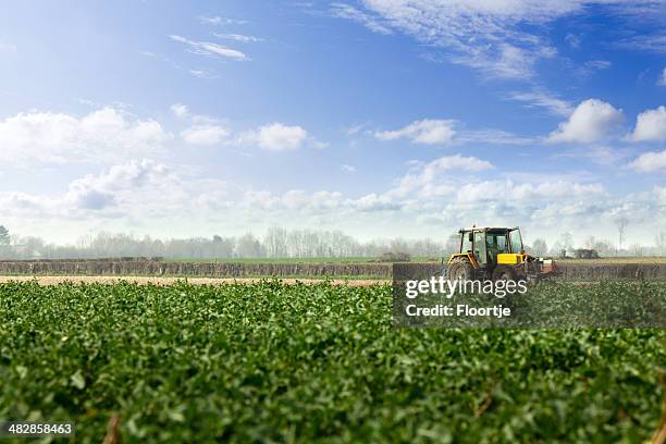 landscape: potato field and tractor - tractor in field stockfoto's en -beelden