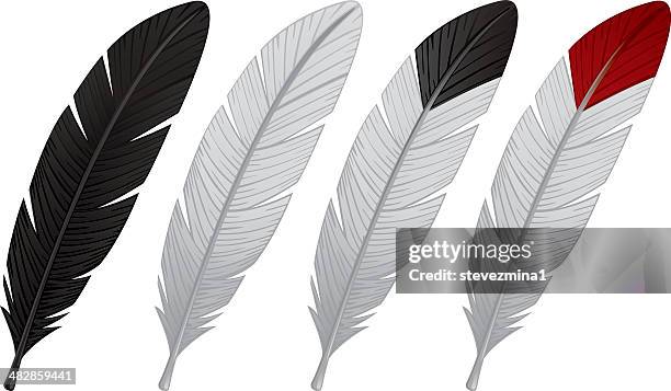 colored feathers - raptors stock illustrations