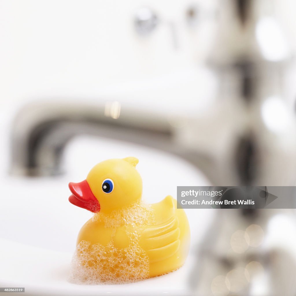 Rubber duck close to a bath tap