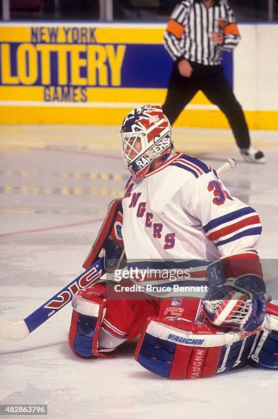 Goalie Mike Richter of the New York Rangers defends the net during an NHL game against the Washington Capitals on November 13, 1993 at the Madison...