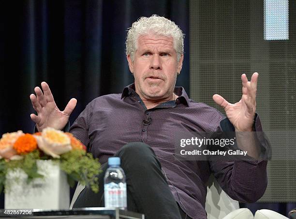 Actor Ron Perlman speaks onstage during the 'Hand Of God' panel discussion at the Amazon Studios portion of the 2015 Summer TCA Tour on August 3,...