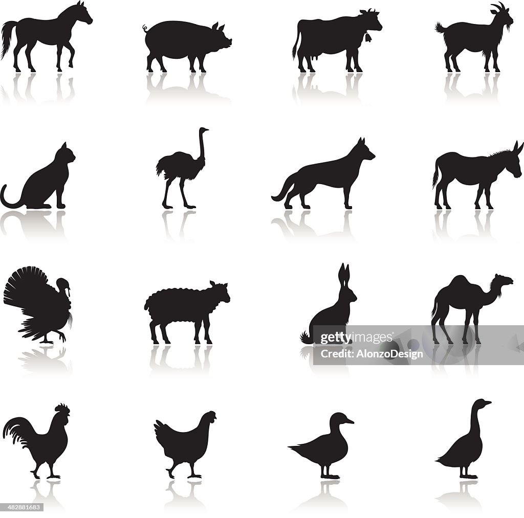 Icono conjunto de animales de granja sobre fondo blanco