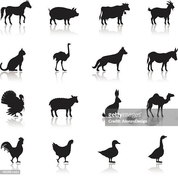 bildbanksillustrationer, clip art samt tecknat material och ikoner med icon set of farm animals on white background - duck