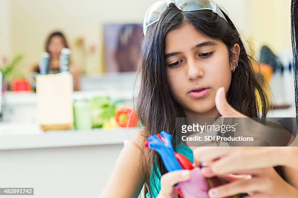 preteen girl studying science heart model during homeschool class - preteen girl models stock pictures, royalty-free photos & images
