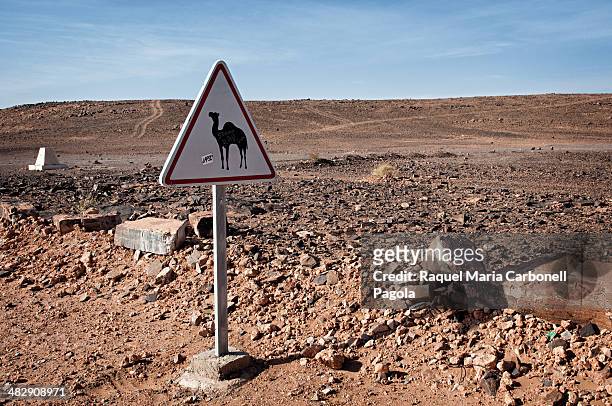 Camel road sign between Zagora and Mhamid.
