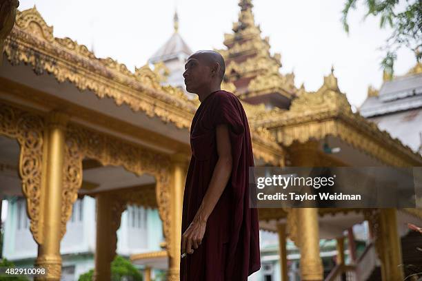 Monk stands in front of a monastery near the planned Dawei SEZ on August 3, 2015 in Pantininn, Myanmar. The controversial, multi-billion dollar Dawei...