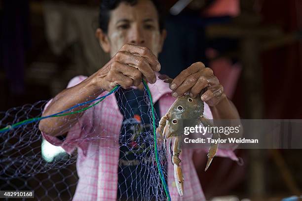 Burmese man removes a crab from netting near the planned Dawei SEZ on August 4, 2015 in Maungmagan, Myanmar.The controversial, multi-billion dollar...