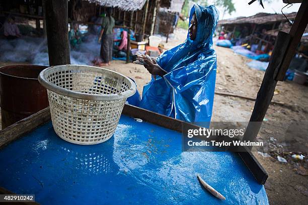 Burmese locals sort fish in a village near the planned Dawei SEZ on August 4, 2015 in Maungmagan, Myanmar.The controversial, multi-billion dollar...