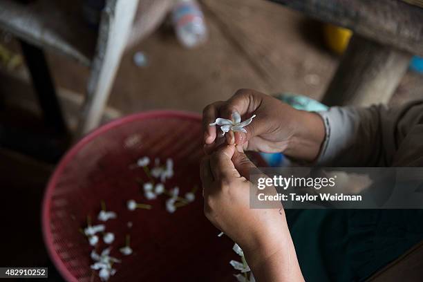 Burmese woman makes Buddhist flower necklaces in a village near the planned Dawei SEZ on August 4, 2015 in Maungmagan, Myanmar.The controversial,...
