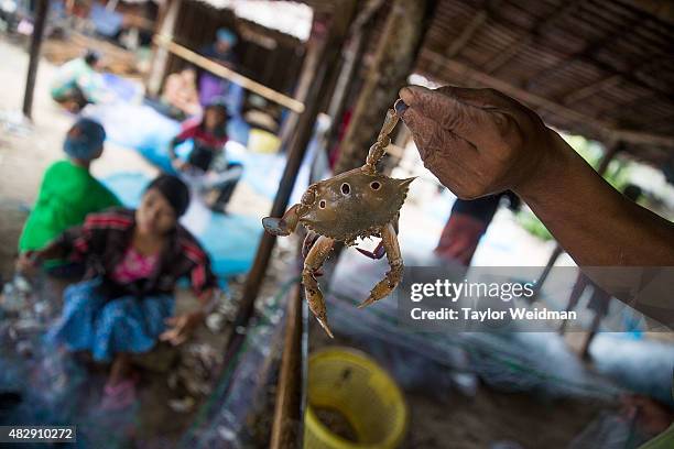 Burmese men and women remove fish and crabs from netting near the planned Dawei SEZ on August 4, 2015 in Maungmagan, Myanmar.The controversial,...