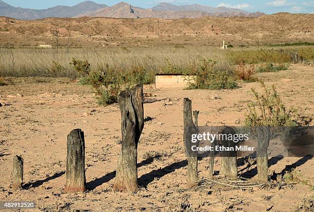 Tree stumps used as a boundary marker are shown in the ghost town of St. Thomas on August 3, 2015 in the Lake Mead National Recreation Area, Nevada....