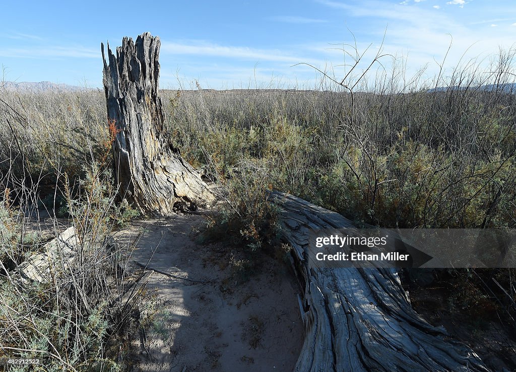 St. Thomas Ghost Town In Lake Mead Remains Exposed As Drought Continues