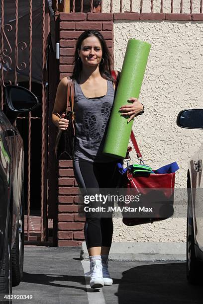 Danica McKellar is seen on April 4, 2014 at "Dancing with the Stars" in Los Angeles, California.