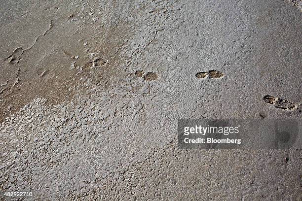 Footsteps of salt miners are seen in an evaporation pond at the pre-Columbian salt mines in the Sacred Valley of the Incas in the Cuzco region of...