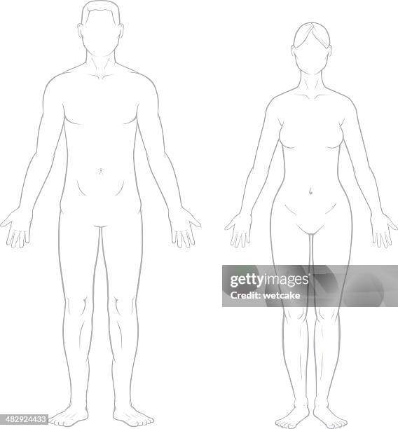 gesunde männliche und weibliche herz - physiologie stock-grafiken, -clipart, -cartoons und -symbole