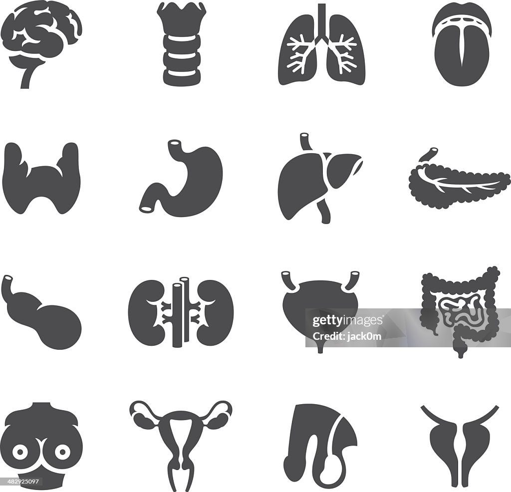 Cuerpo humano-órgano iconos de los tipos de cáncer