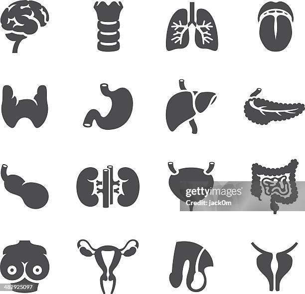 ilustraciones, imágenes clip art, dibujos animados e iconos de stock de cuerpo humano-órgano iconos de los tipos de cáncer - cervix