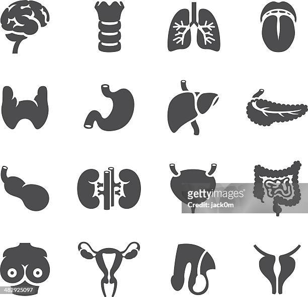 human body icons - organ cancer types - human pancreas stock illustrations