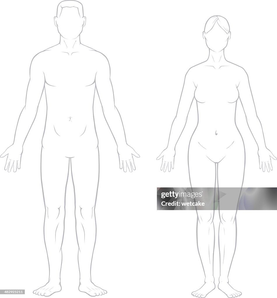 Healthy Male and Female Bodies
