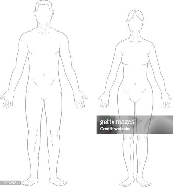 healthy male and female bodies - human body part stock illustrations