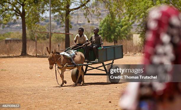 Children driving through a little village with a donkey cart on March 28, in Tienfala, Mali.