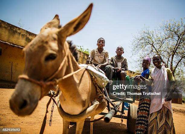 Children driving through a little village with a donkey cart on March 28, in Tienfala, Mali.