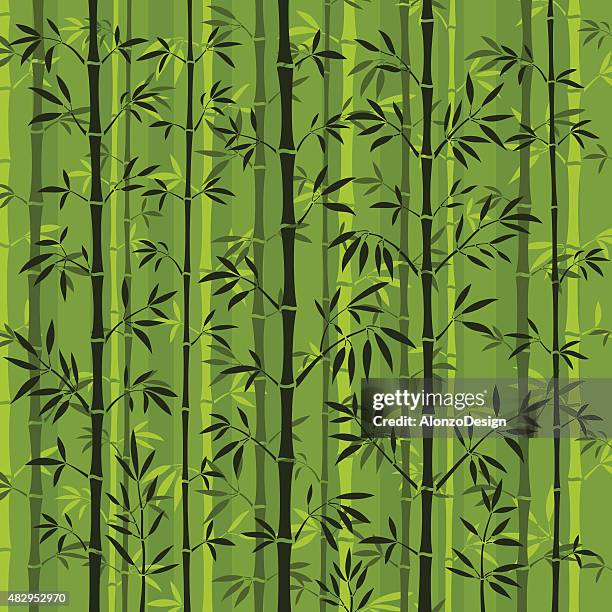 37点の竹林イラスト素材 Getty Images 37点の竹林イラスト素材 Getty Images