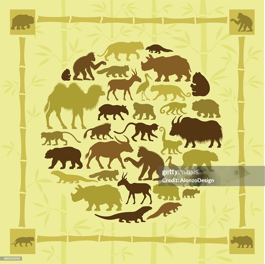 Asian Animals Collage