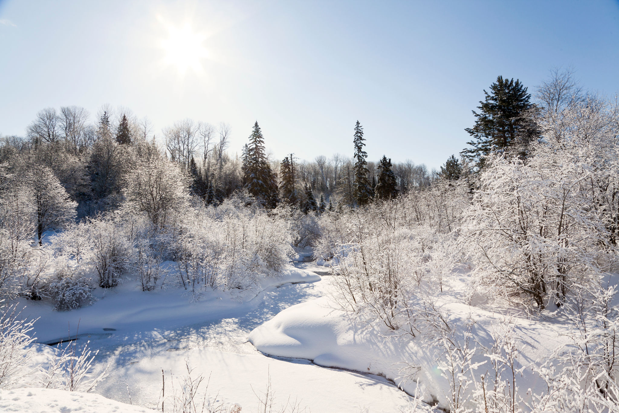 winter coating