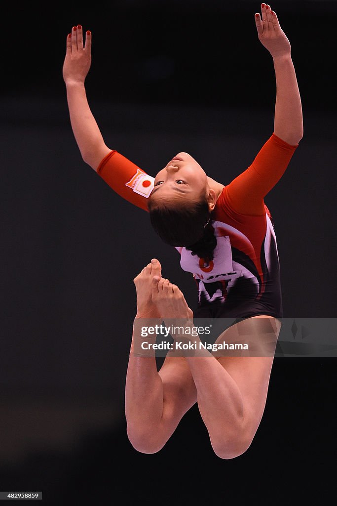 Gymnastics Tokyo World Cup 2014