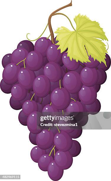 grapes - fruit juice bottle stock illustrations