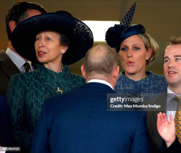 Princess Anne, The Princess Royal, Mike Tindall and Zara Phillips watch Mike Tindall's horse Monbeg Dude run in the Crabbie's Grand National horse...