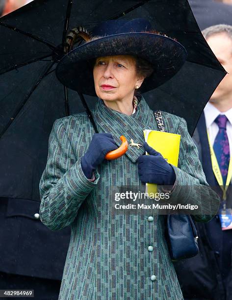 Princess Anne, The Princess Royal shelters under an umbrella as she attends the Crabbie's Grand National horse racing meet at Aintree Racecourse on...