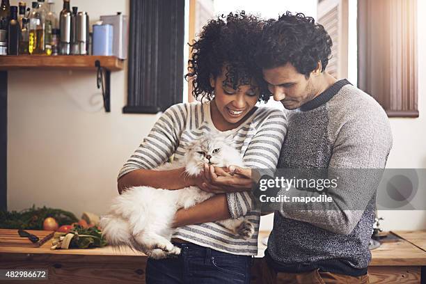 doting on their furry friend - interracial wife photos stock pictures, royalty-free photos & images