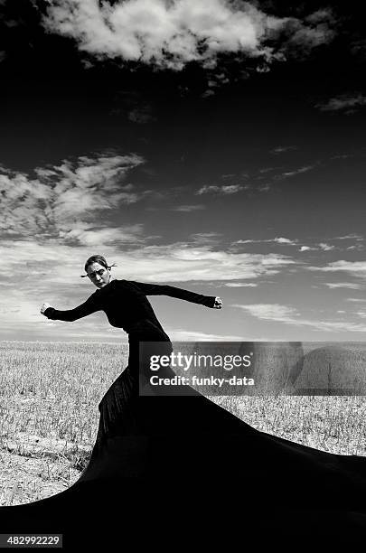 the witch - modern art stock pictures, royalty-free photos & images