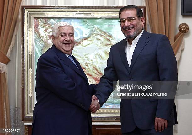 Iranian Secretary of the Supreme National Security Council Ali Shamkhani shakes hands with Syrian Foreign Minister Walid Muallem during their meeting...