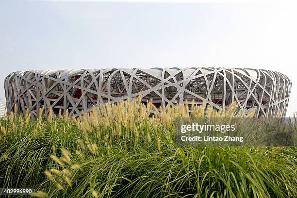 General view of the China National Stadium, also known as Bird's Nest on August 5, 2015 in Beijing, China. 15th IAAF World Championships will be held...