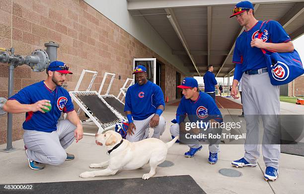 George Kottaras of the Chicago Cubs plays with his dog Leo during a Spring Training workout on Tuesday, February 25, 2014 at Cubs Park in Mesa,...