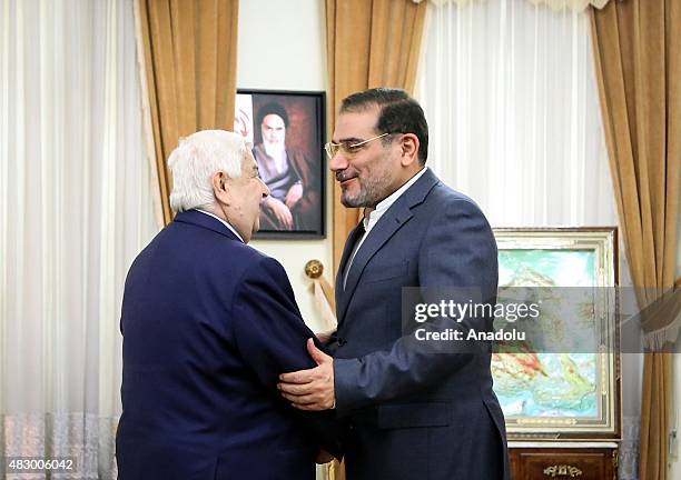 Secretary of Iran's Supreme National Security Council Ali Shamkhani welcomes Syrian Foreign Minister Walid Muallem prior to their meeting in the...