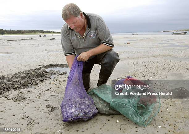 Staff Photo by John Ewing, Friday, August 4, 2006: Scarborough clam warden David Corbeau looks over several bags of clams dug by digger Tim Downs on...