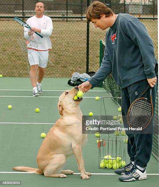 Staff Photo by Gordon Chibroski, Monday, April 3, 2006: Rob Hanson gets help from his Yellow Lab, Oscar, as he rounds up the tennis balls from a...