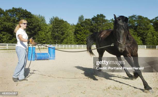 Wednesday, July 19, 2006: Cindi Spear does some groundwork with her horse "MaLynn," a two-year-old Friesian, at the Hollis Equestrian Park. The park...