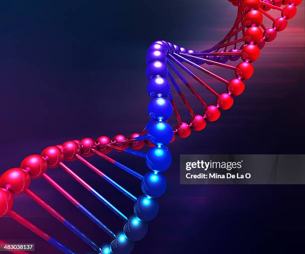 Dna Del Roo Blue Dna Photos et images de collection - Getty Images