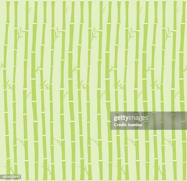 bamboo seamless background - foliate pattern stock illustrations