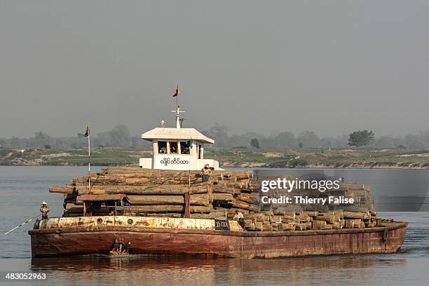 Boat carries teak trunks down the Irrawaddy River. The trees are cut in the northern forest.