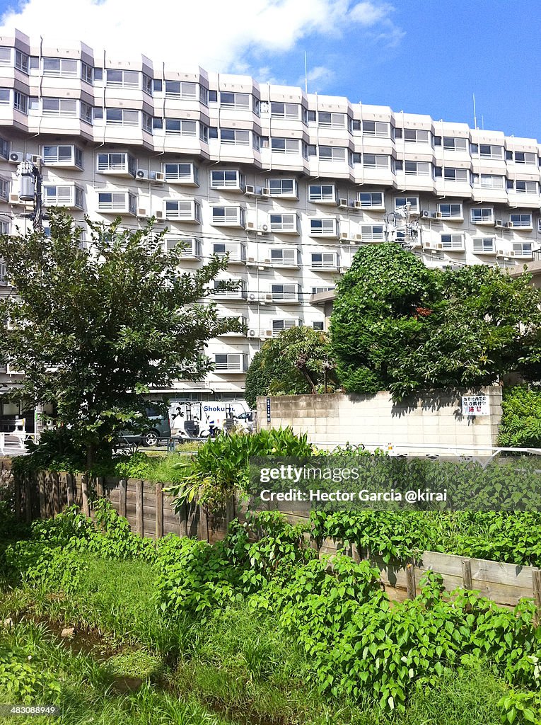 Japanese condominium