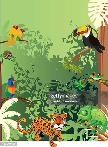 bildbanksillustrationer, clip art samt tecknat material och ikoner med tropical rainforest - amazonasregionen