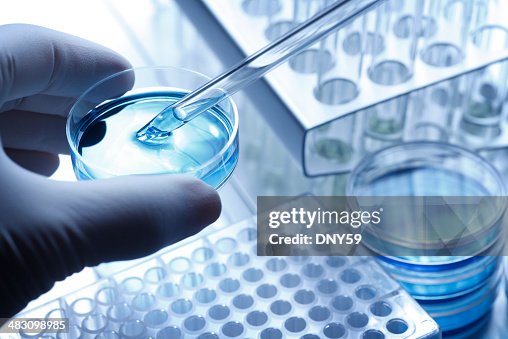 科学者たサンプルを使用して、シャーレ、ピペット 科学者たサンプルを使用して、シャーレ、ピペット