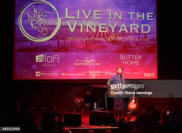 Mike Rosenberg of Passenger performs on Day 3 of "Live In The Vineyard" on April 5, 2014 in Napa, California.